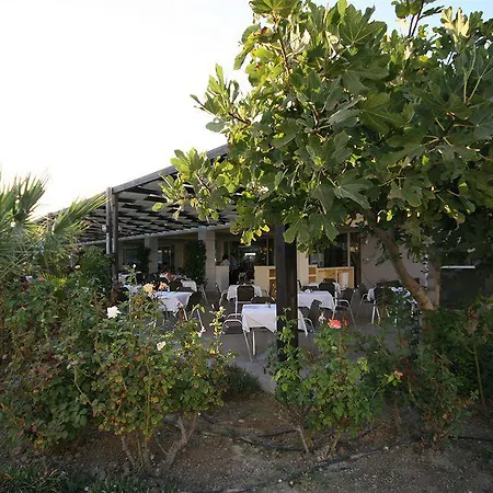 Hotel Zorbas 4*